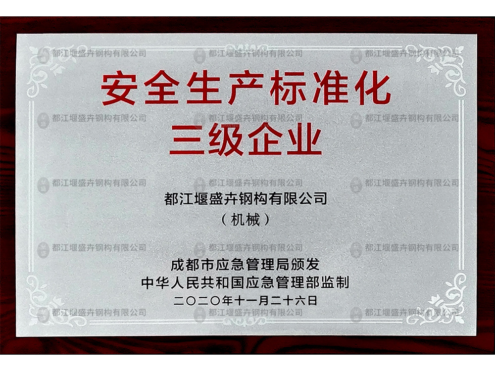 安全生產(chǎn)標(biāo)準(zhǔn)化三級(jí)